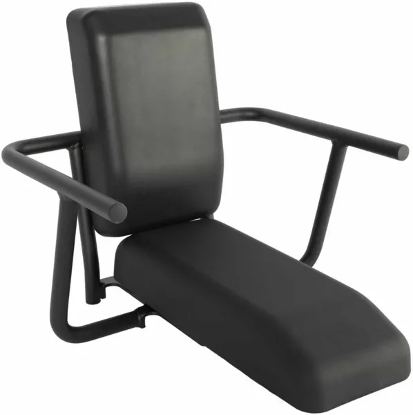 Aventon Passenger's Chair - Abound SR / Abound LR