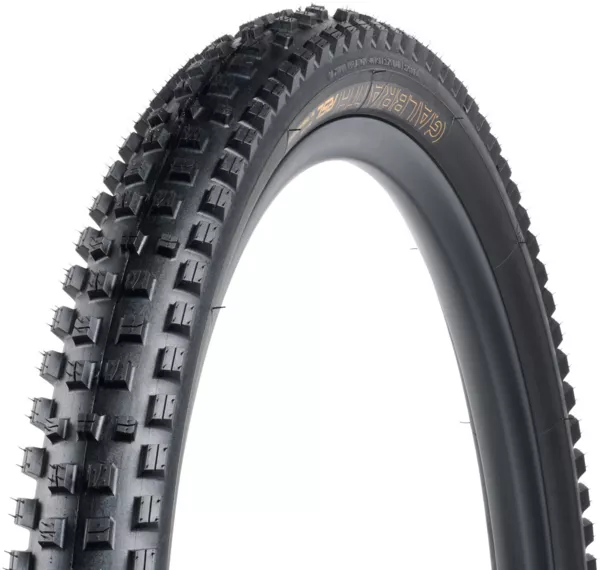 Bontrager Galbraith RSL SE TLR MTB Tire