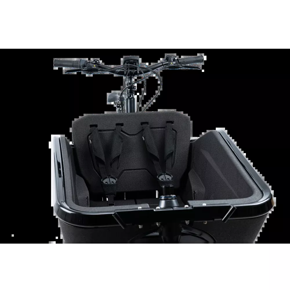 Cube Cargo Seat - Two Child Black