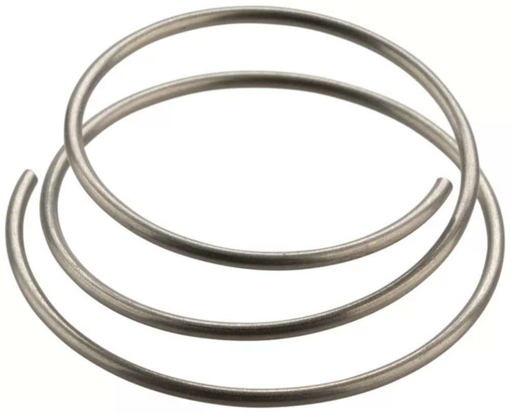 DT Swiss DT Swiss Star Ratchet Spring