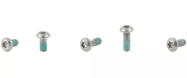 Electra Townie Go! 5i Fender Bolt Set