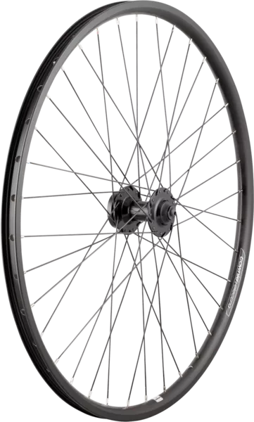 Electra Townie Go! 8D 26" Wheel Front