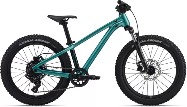 Giant STP 20 FS