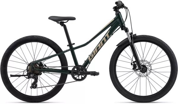 Giant Talon 24 Disc