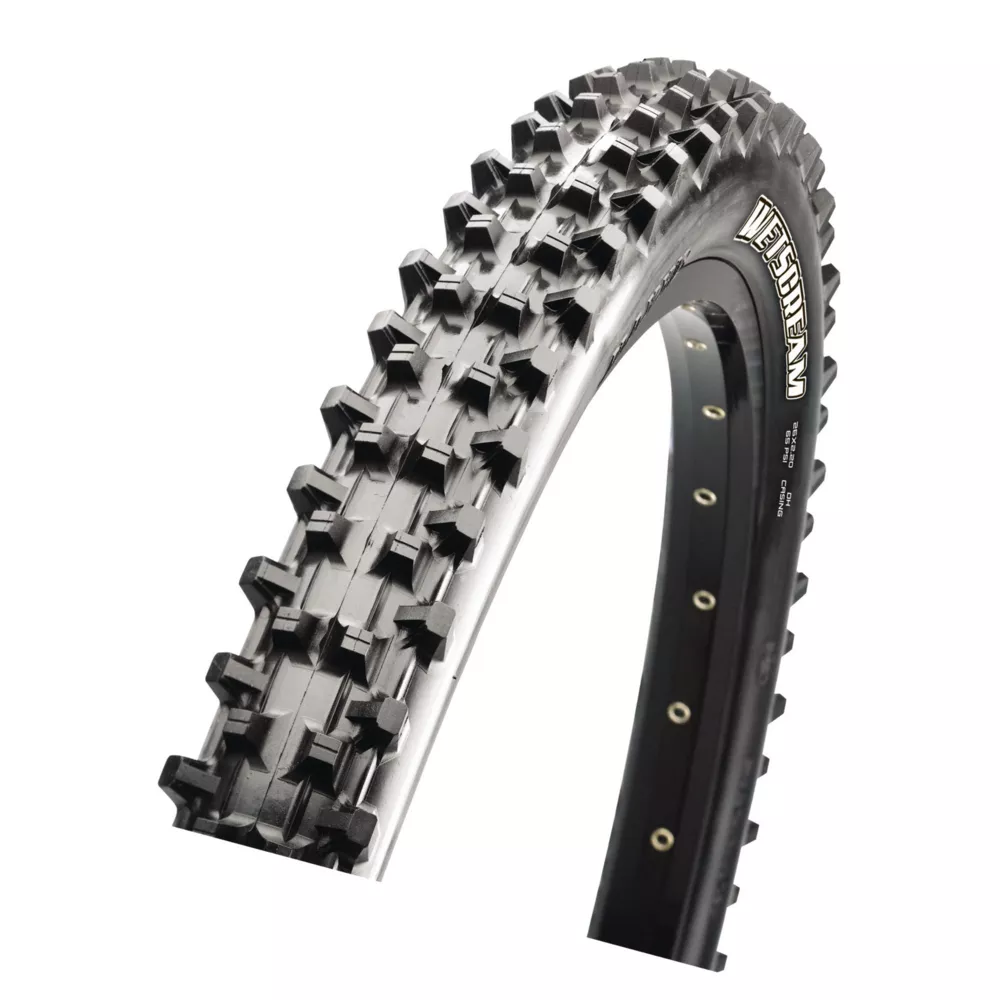 Maxxis Assegai Downhill - DC DP TR WT