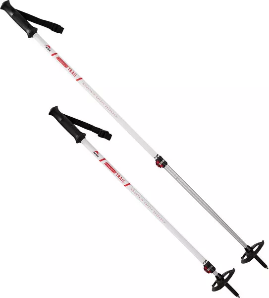 MSR Dynalock Trail AL 2 Section Snowhoe Poles