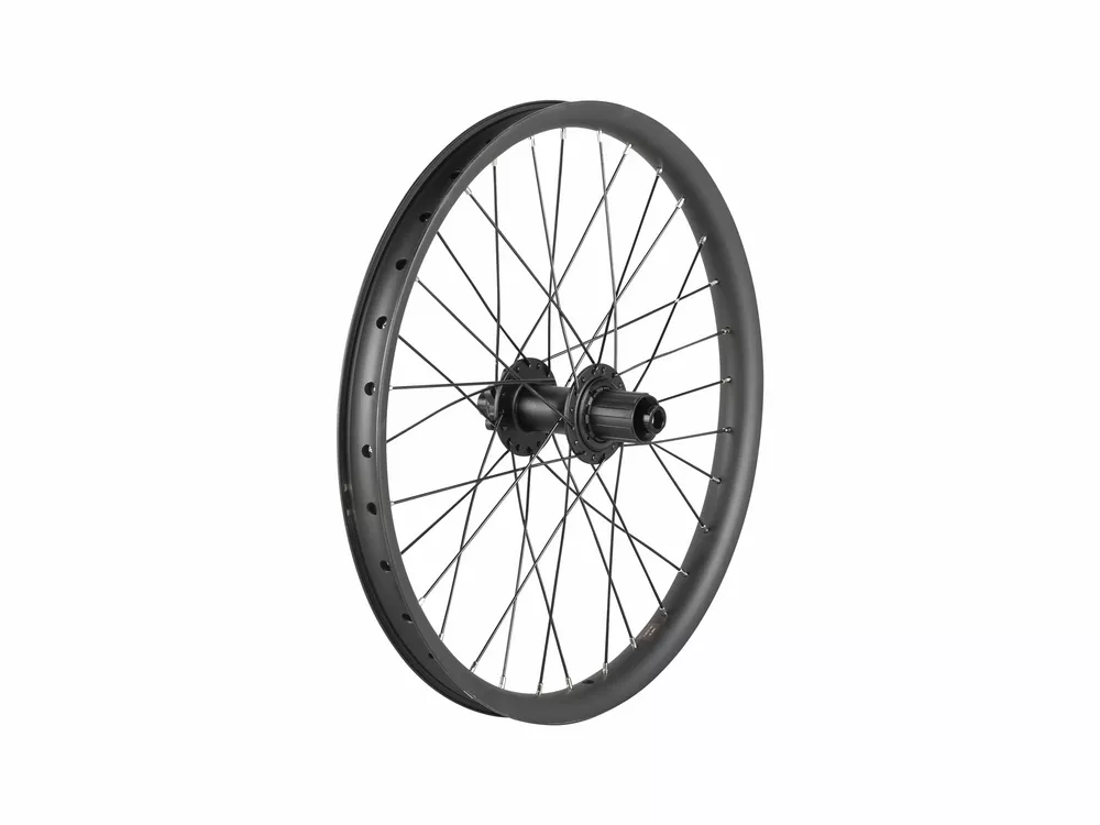 Trek Cargo Bike 6-Bolt Disc 20" Wheel Rear